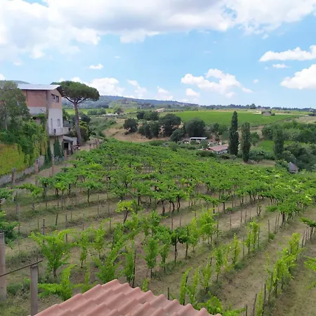 Stanze Private In Fattoria Agricola *