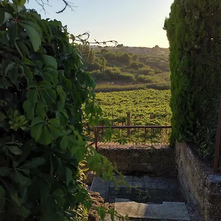 Stanze Private In Fattoria Agricola